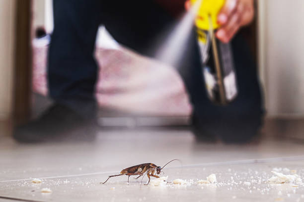 Best Flea Control Services  in Williamstown, PA