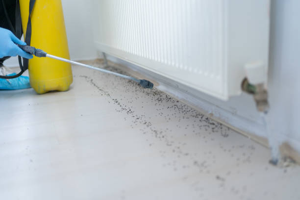 Best Wasp Removal Services  in Williamstown, PA